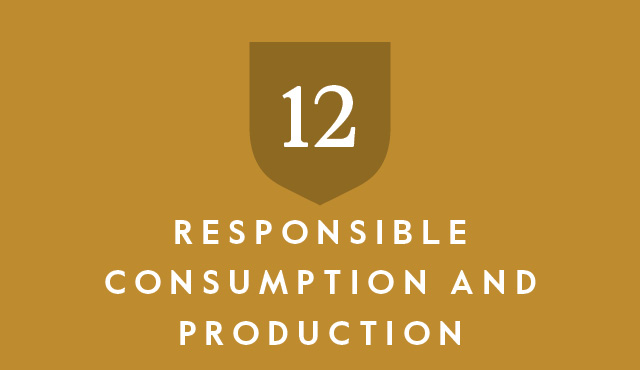 SDG 12 Responsible consumption and production