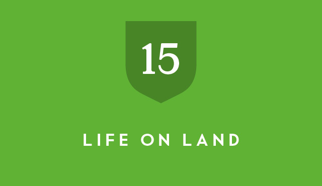 SDG 15 life on land