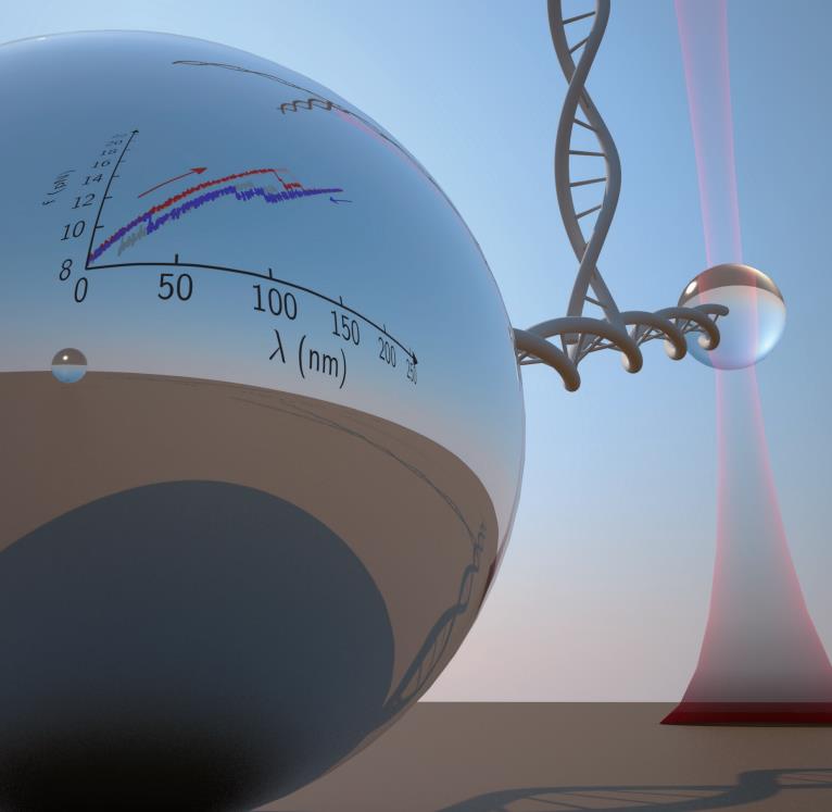 QRD-Single-Molecular-Image