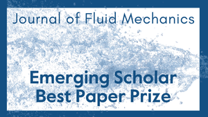 JFM emerging scholar best paper prize