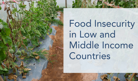 Food Insecurity in Low and Middle Income Countries. Read now.